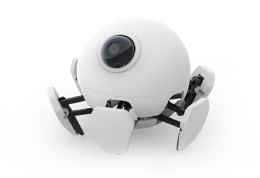 Xpider: A DIY 3D-Printable Robot Spider